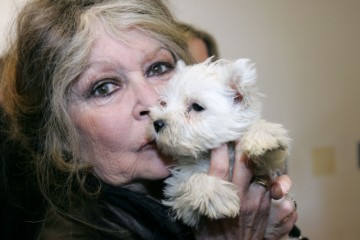 FILES-FRANCE-CINEMA-OBIT-BARDOT