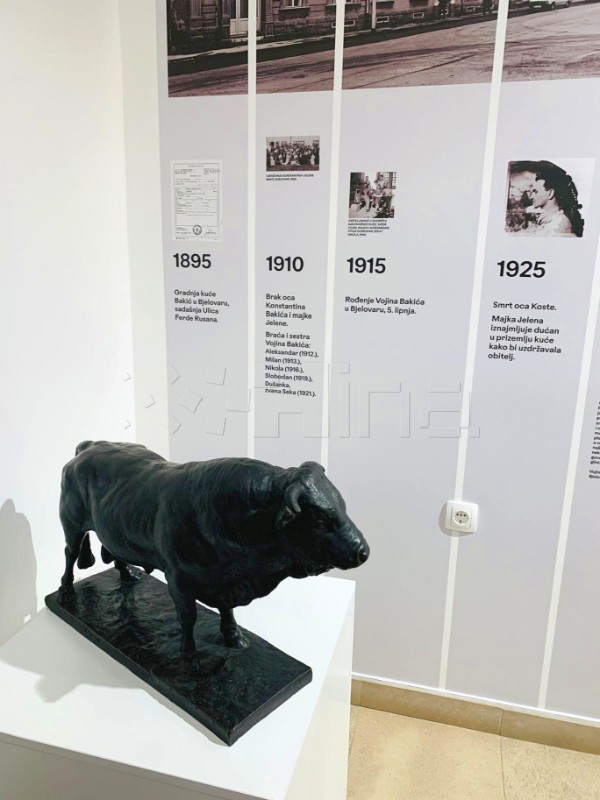  Izložba "Vojin Bakić: Princip nade" otvorena u Gradskom muzeju Bjelovar