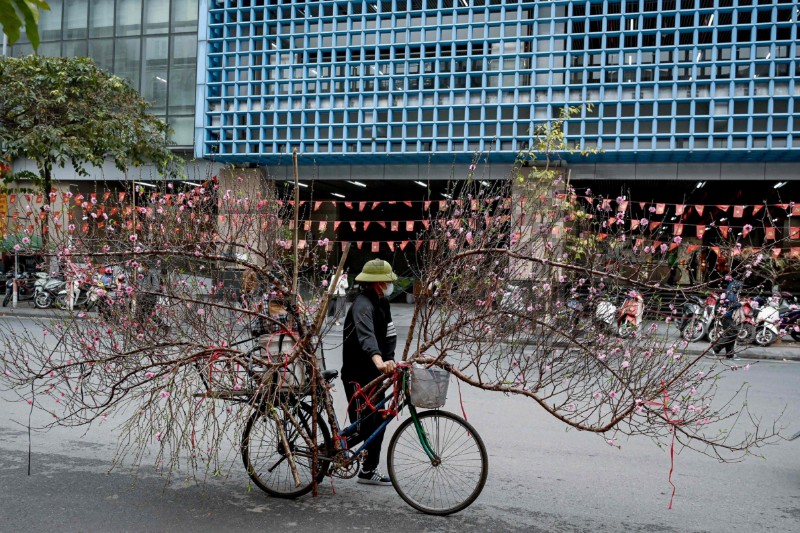 VIETNAM-LUNAR-NEW YEAR