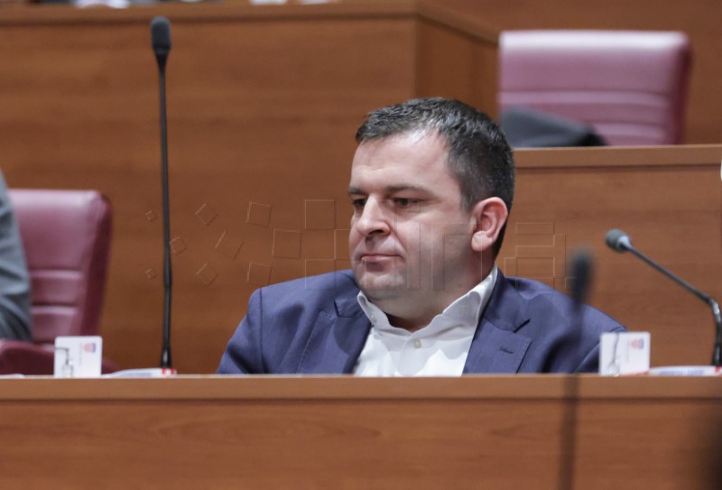 Sabor potvrdio Alena Ružića za novog ministra