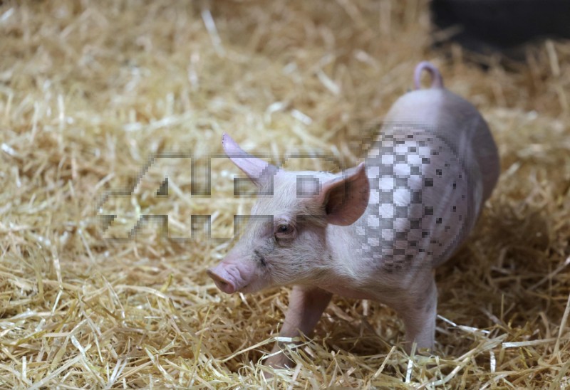 FRANCE-AGRICULTURE-FAIR