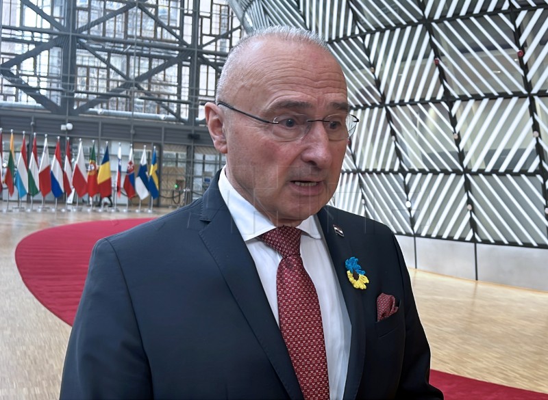 Grlić Radman: Bilo bi dobro otići u Kijev s odlukom o sankcijama i zajmu