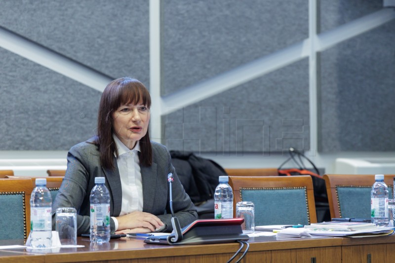 Sabor: Okrugli stol s temom “Surogat majčinstvo”