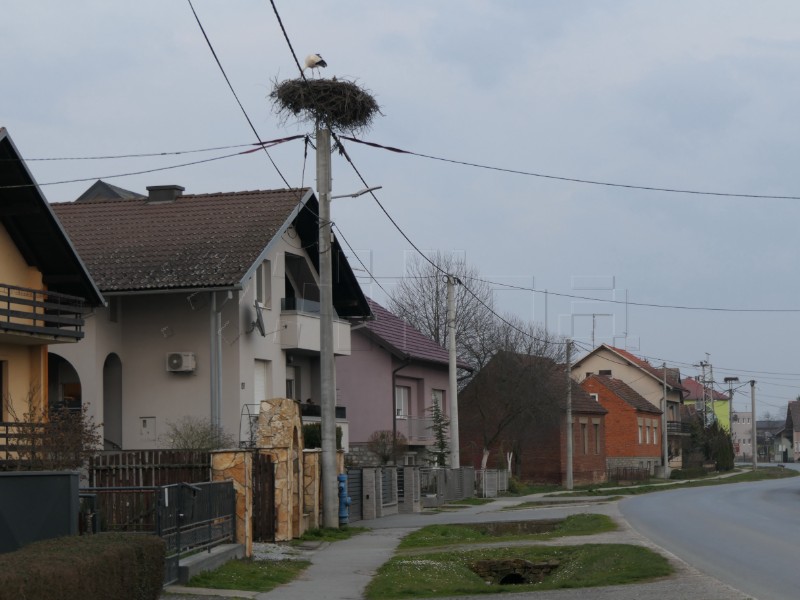 Prve rode vratile se u Lonjsko polje