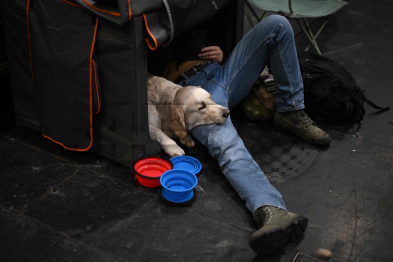 BRITAIN-LIFESTYLE-ANIMAL-DOGS-CRUFTS