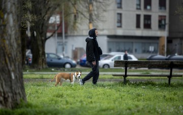 Ilustracija: šetnja pasa