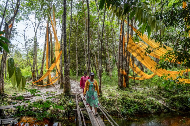 TOPSHOT-INDONESIA-ENVIRONMENT-DEFORESTRATION-INDUSTRY