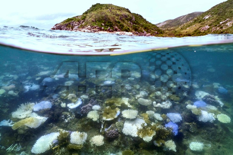FILES-AUSTRALIA-ENVIRONMENT-OCEANS-CLIMATE-EL NINO