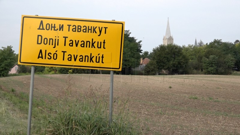 Tavankutska udruga u izbornoj kampanji za HNV u Srbiji 