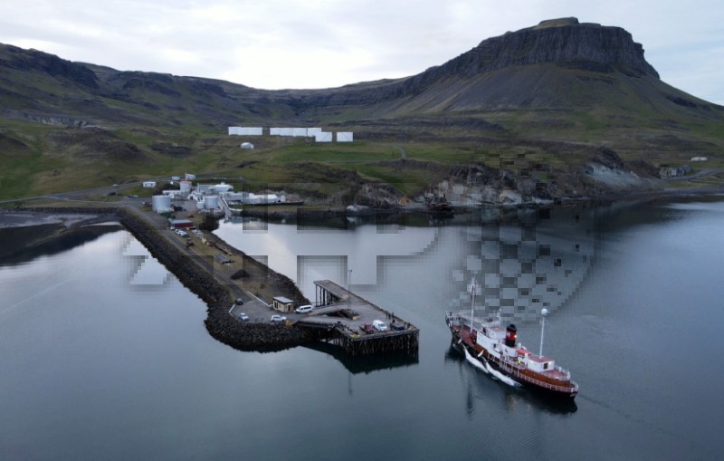 ICELAND-WHALING-ANIMALS-FIN WHALE