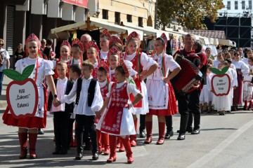 61. Vinkovačke jeseni