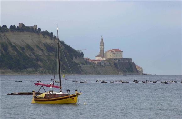 Piranski zaljev                                                                                                                                                                                                                                 