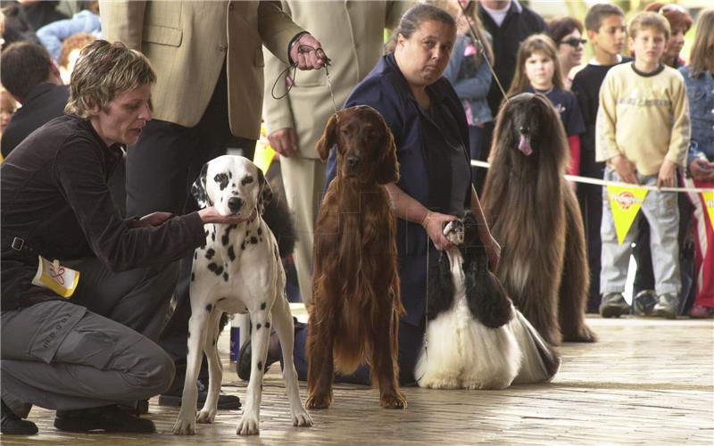 Međunarodna izložba pasa "Cacib Zadar 2004"                                                                                                                                                                                                     