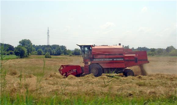 Na poljima u Vukovarsko-srijemskoj županiji u tijeku žetva pšenice                                                                                                                                                                              