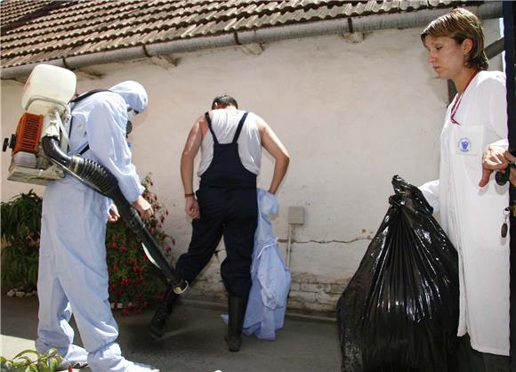 Borovo selo: Eutanazija svinja oboljelih od svinjske kuge                                                                                                                                                                                       