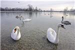 Sunčana nedjelja na Jarunu                                                                                                                                                                                                                      