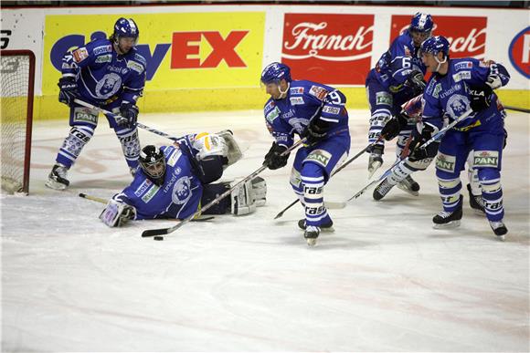 EBEL liga: Medveščak - Alba Volan                                                                                                                                                                                                               