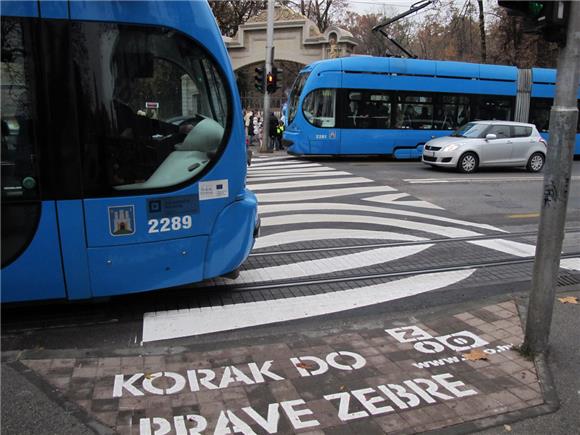 Kod ulaza u park Maksimir 'najzebrastija zebra'                                                                                                                                                                                                 