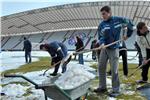 Juniori Hajduka čistili travnjak Poljuda                                                                                                                                                                                                        