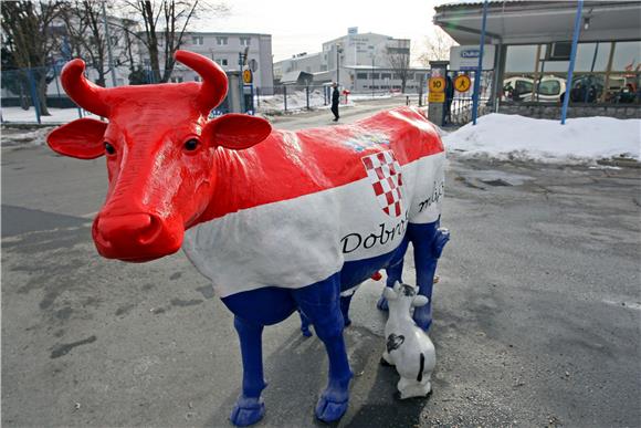 Proizvođači mlijeka: Dukat ucjenjuje                                                                                                                                                                                                            