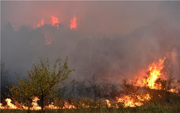 Zbog požara evakuirana srbijanska sela                                                                                                                                                                                                          