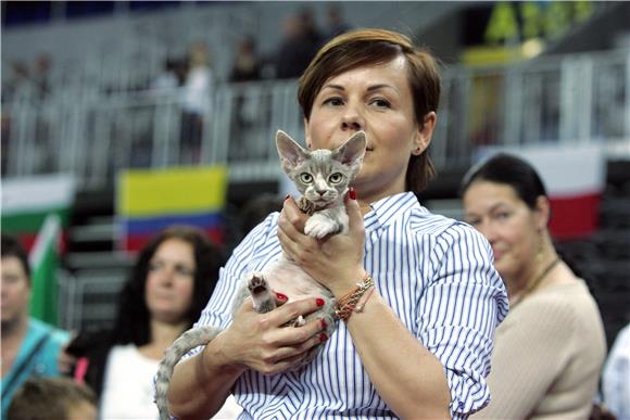 Svjetska izložba mačaka otvorena u Areni Zagreb                                                                                                                                                                                                 