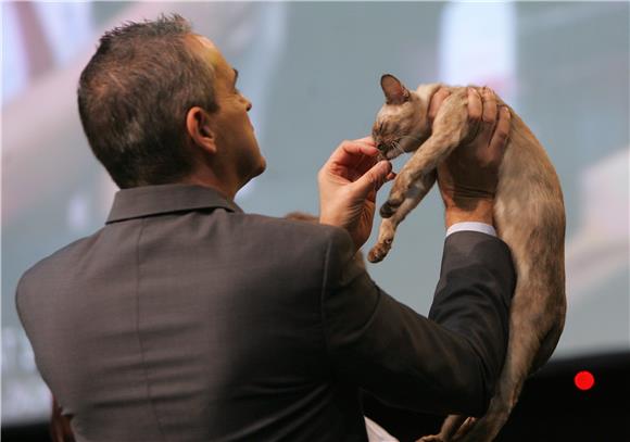 Best in show na Svjetskoj izložbi mačaka World Cat Show 2012. u Areni Zagreb                                                                                                                                                                    