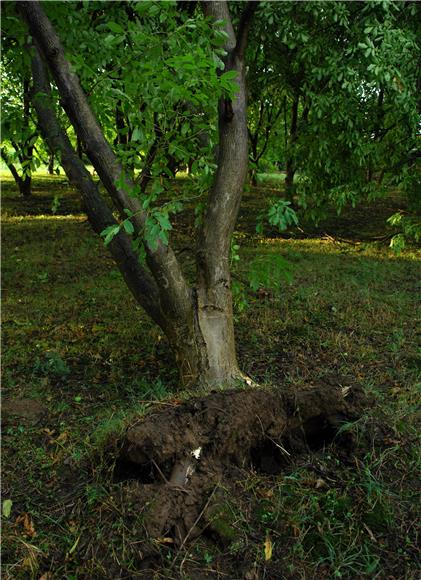 Olujno nevrijeme na karlovačkom području                                                                                                                                                                                                        