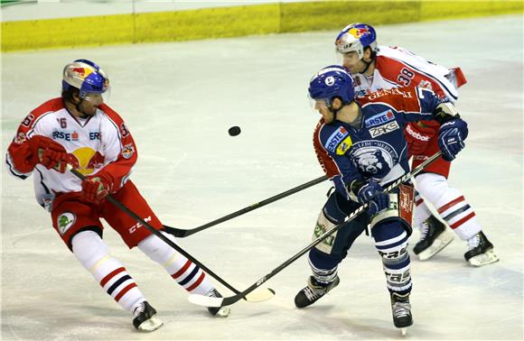 EBEL liga: Medveščak - Red Bull Salzburg 24.2.2013.                                                                                                                                                                                             