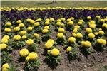 Otvoren 'Floraart' na Bundeku - besplatno razgledavanje izložbe do 2. lipnja                                                                                                                                                                    