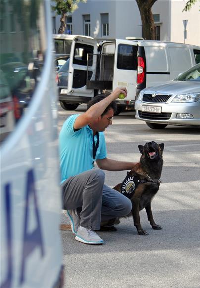 Policijski pas Pik noćna mora splitskih dilera                                                                                                                                                                                                  