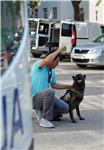 Policijski pas Pik noćna mora splitskih dilera                                                                                                                                                                                                  