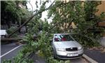 Olujni vjetar u Zagrebu srušio stablo u Klaićevoj ulici                                                                                                                                                                                         