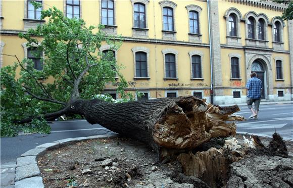 Olujni vjetar u Zagrebu srušio stablo u Klaićevoj ulici                                                                                                                                                                                         