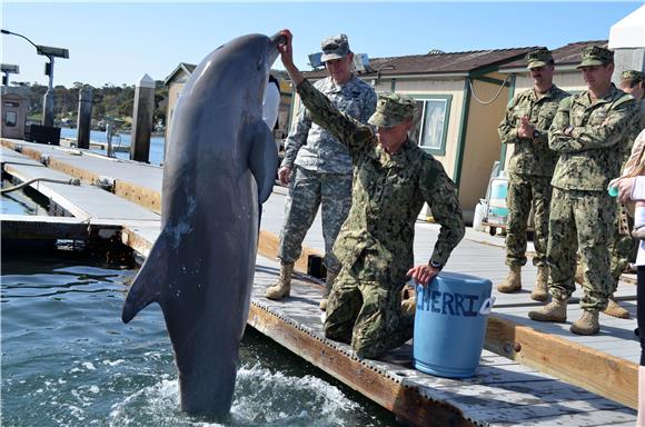 Predstavljen projekt "Dolphin 13" za humanitarno razminiranje                                                                                                                                                                                   