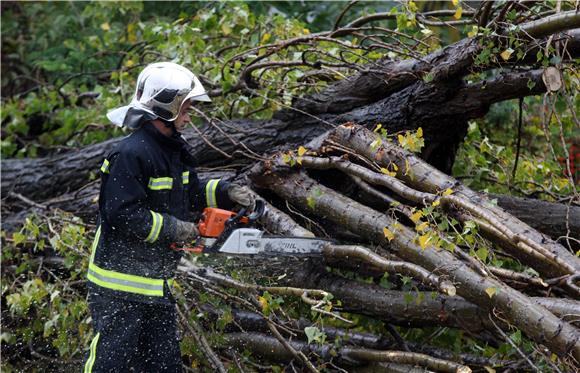 Varaždin: stablo koje je rušio palo na 58-godišnjaka i ubilo ga                                                                                                                                                                                 