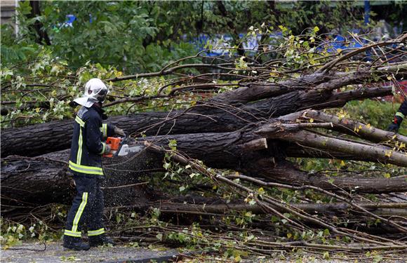 Novi Marof: pod stablom poginuo 46-godišnjak                                                                                                                                                                                                    