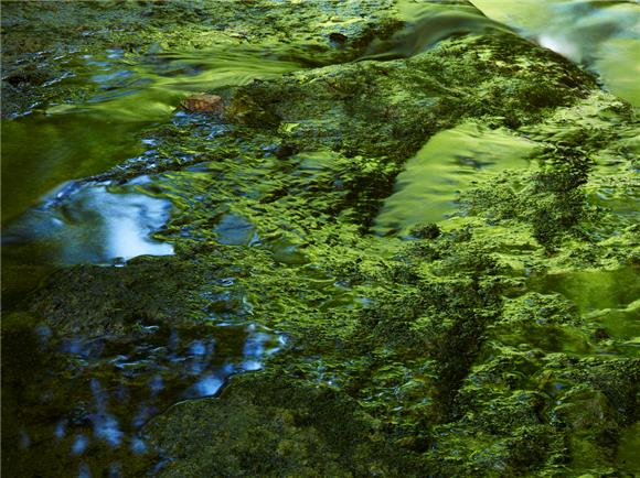 Izložba japanske fotografije u Gliptoteci                                                                                                                                                                                                       