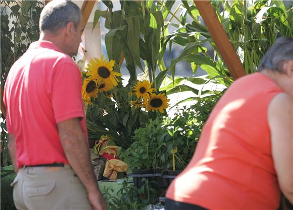 ZeGeVege festival na Trgu bana Jelačića                                                                                                                                                                                                         