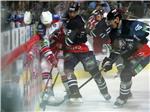 KHL liga: Medveščak - Lev Prag                                                                                                                                                                                                                  