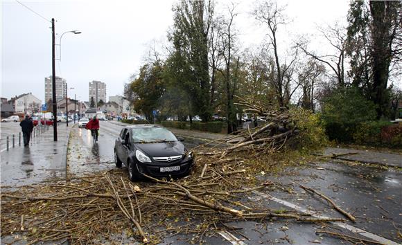 Olujni vjetar srušio stablo na automobil na Trešljevačkom parku                                                                                                                                                                                 