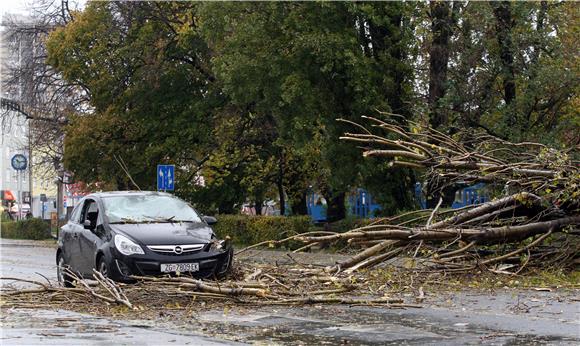 Olujni vjetar srušio stablo na automobil na Trešljevačkom parku                                                                                                                                                                                 