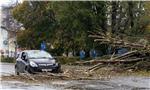 Olujni vjetar srušio stablo na automobil na Trešljevačkom parku                                                                                                                                                                                 