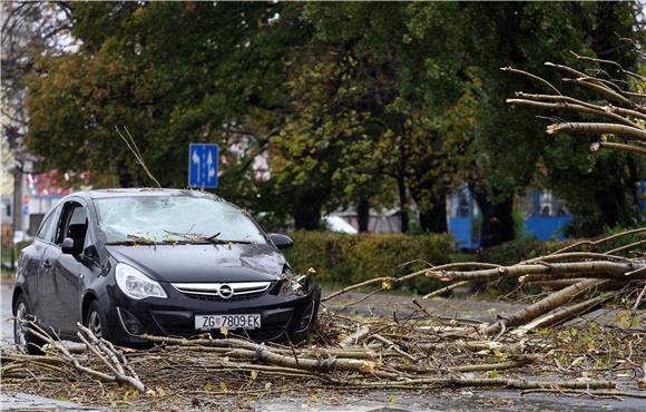 Olujni vjetar srušio stablo na automobil na Trešljevačkom parku                                                                                                                                                                                 