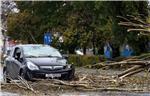 Olujni vjetar srušio stablo na automobil na Trešljevačkom parku                                                                                                                                                                                 