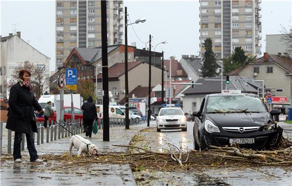 Olujni vjetar srušio stablo na automobil na Trešljevačkom parku                                                                                                                                                                                 