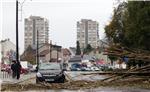 Olujni vjetar srušio stablo na automobil na Trešljevačkom parku                                                                                                                                                                                 