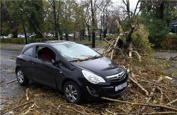 Olujni vjetar srušio stablo na automobil na Trešljevačkom parku                                                                                                                                                                                 