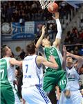 ABA liga: Zadar - Krka 01.02.2014