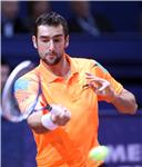 ATP Zagreb: Dodig - Čilić 7.2.2014.